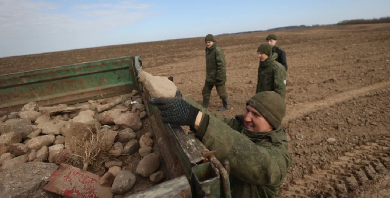 Весной на Гродненщине военные собирали на полях камни
