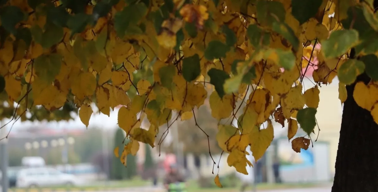 У кастрычніку ў Беларусі
