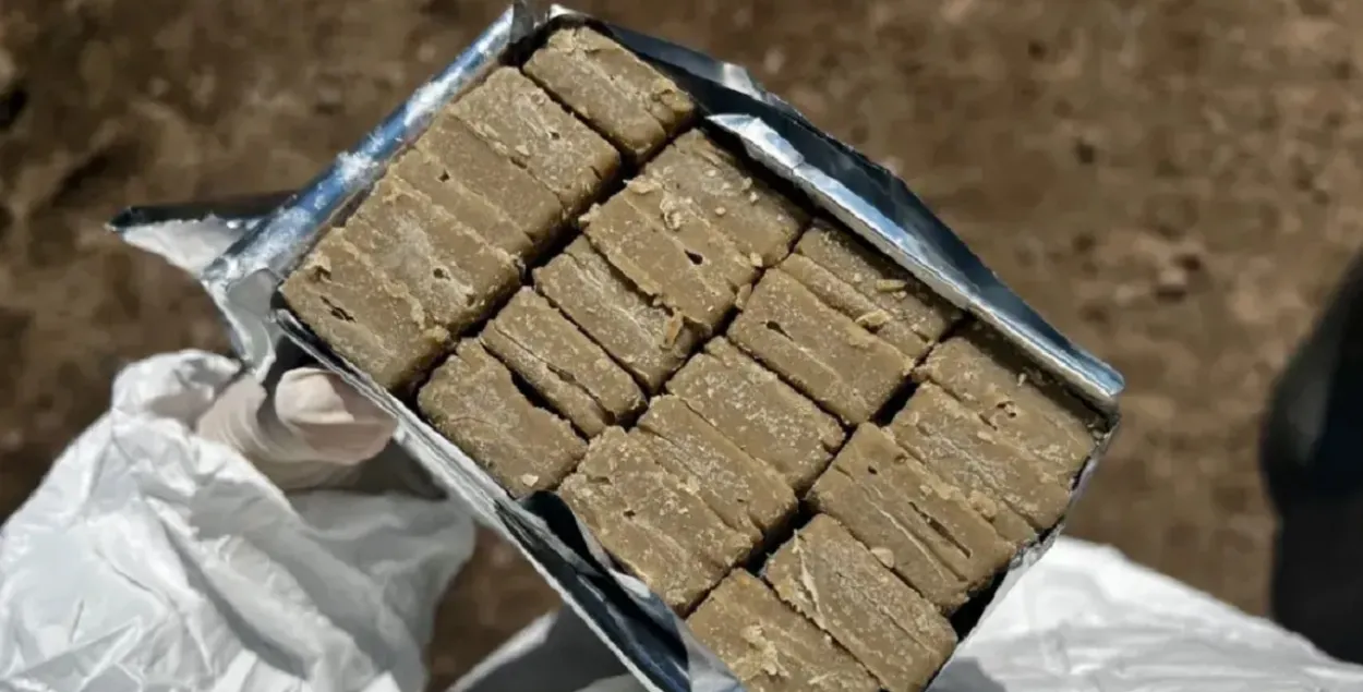 Вакцина от бешенства

