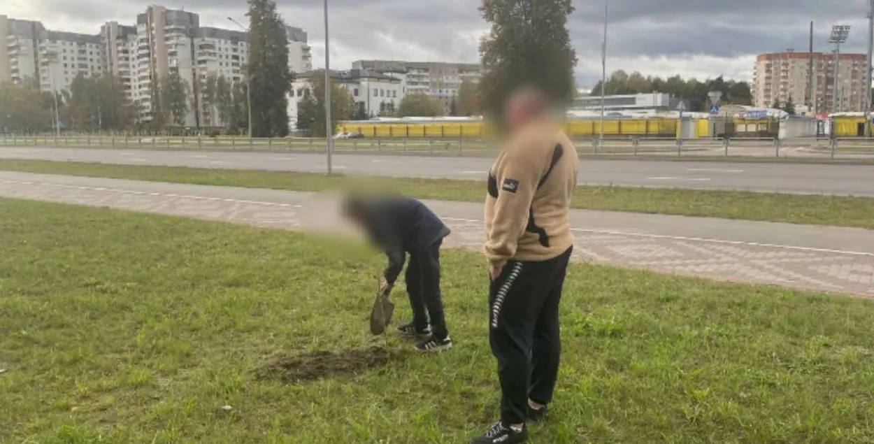 Деревья сажали вместе с родителями

