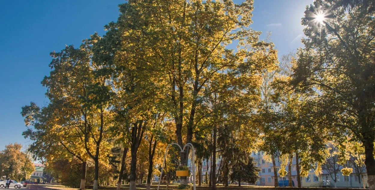 Осень
