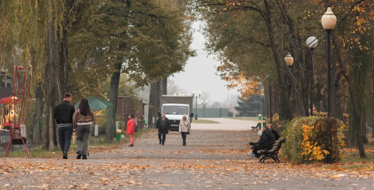 Осенний парк

