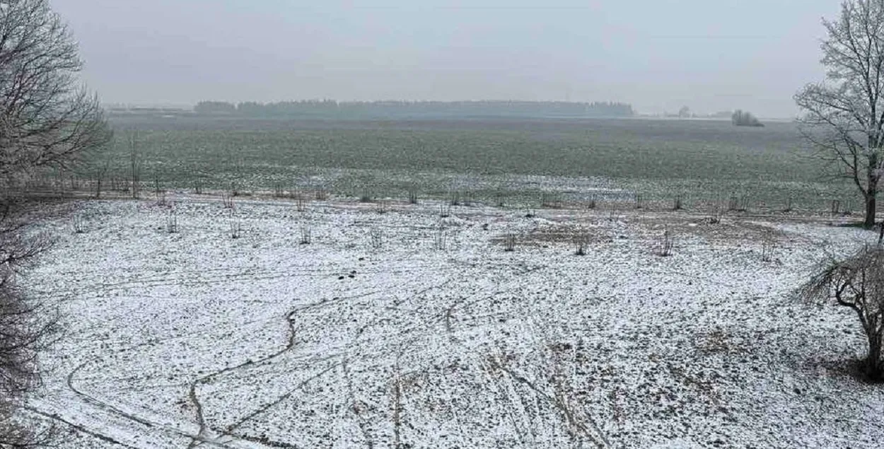 Невядомыя "намотвалі кругі" каля&nbsp;гісторыка-культурнай каштоўнасці
