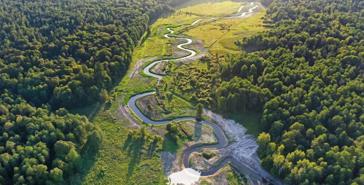 Беловежская пуща
