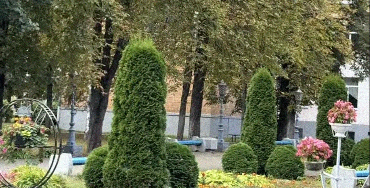 Як столінскі каледж стаў зоркай ціктока

&nbsp;
