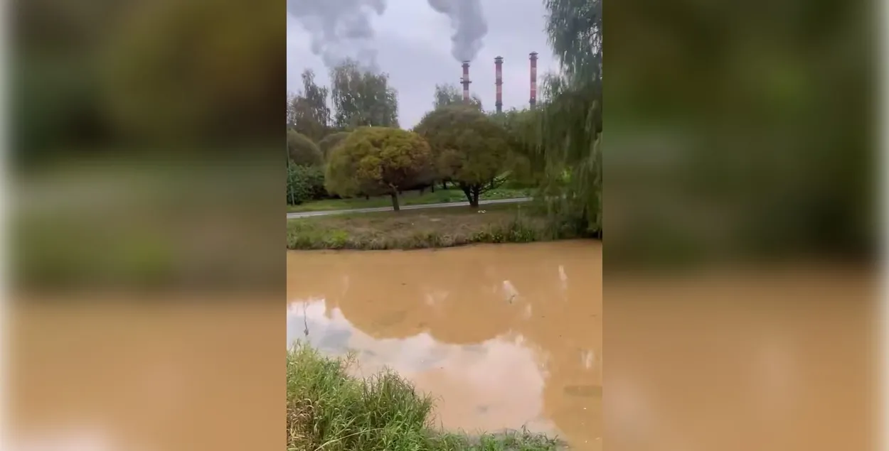Мінгаркампрыроды пачаў разбор сітуацыі
