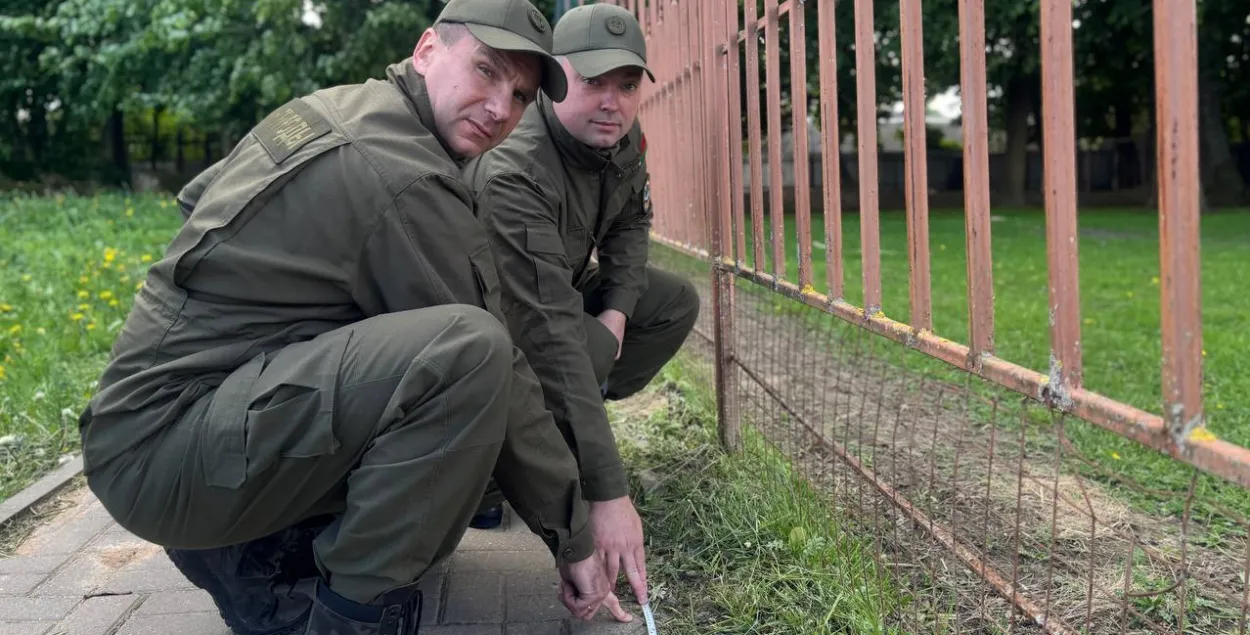 Проверка в "Дукорском маёнтке"
