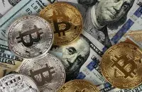 Физлица не из ПВТ не имеют права заниматься оборотом криптовалюты в Беларуси / pexels.com
