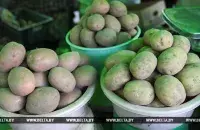 Фото: БЕЛТА