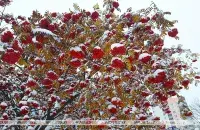 Несколько дней до зимы / БЕЛТА