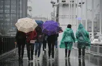 Фото: russian.rt.com