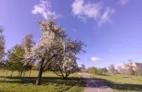 Весна в Беларуси / Еврорадио&nbsp;
