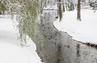 Март в Беларуси / БЕЛТА

