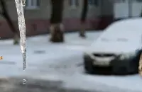 Зимой в Беларуси / БЕЛТА
