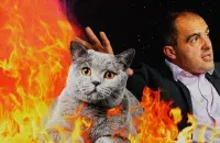 The result of the "attack" on the house of Deputy Aleh Haidukevich is a burnt cat's nose / collage by Ulad Rubanau, Euroradio