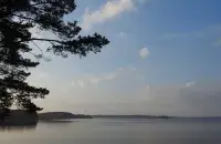 Природа в Беларуси / Еврорадио