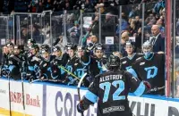 Хоккеисты минского "Динамо" / hcdinamo.by
