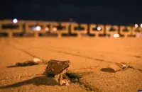 nn.by