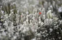 Фантастический зимний пейзаж / pixabay.com​