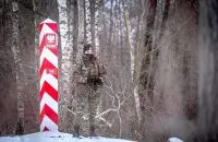 Сотрудница польской погранслужбы / twitter.com/Straz_Graniczna

