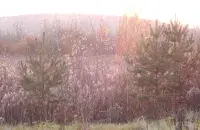 Восень у Беларусі / Еўрарадыё
