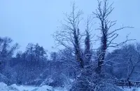 Зима / Еврорадио
