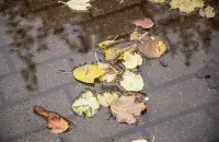 Осень в Беларуси / Еврорадио
