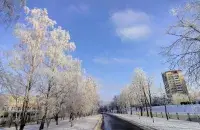 Первый день зимы будет морозным и без существенных осадков&nbsp;/ Еврорадио
