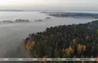 БЕЛТА