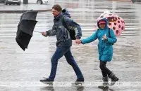 БЕЛТА