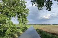 Лето на Полесье / Еврорадио