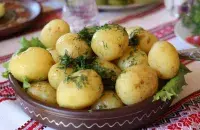 Куда и почему пропала белорусская картошка

