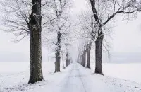 Зима, иллюстративное фото
