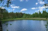 Жара возвращается в Беларусь / Еврорадио

