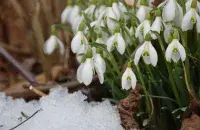 Весна, иллюстративное фото
