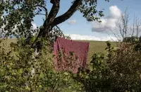 Синоптики прогнозируют жару и без дождей / Еврорадио, архивное фото
