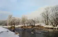 Зима в Беларуси / Еврорадио, архивное фото
