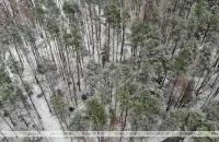 Мокрый снег и дождь прогнозируют на 16 декабря / БЕЛТА