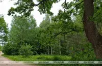 Преимущественно без осадков будет в Беларуси 24 июня / БЕЛТА​