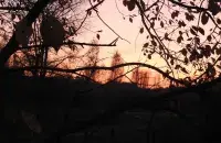 Осень в Беларуси / Еврорадио
