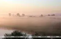 В воскресенье снова прогнозируют туманы / БЕЛТА
