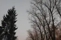 Панылая зіма ў Беларусі / Еўрарадыё