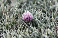 Фото из архива