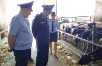 Deputy Prosecutor General Stuk visits a cowshed / Press service of the Prosecutor General's Office