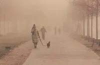 Туман, иллюстративное фото

