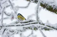 Зима, иллюстративное фото
