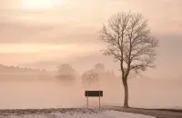 Ночью и утром туман будет почти по всей стране
