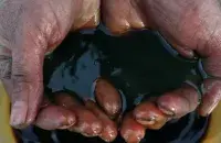 Нефть

