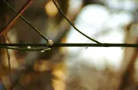 В этом году январь отметился высокими плюсовыми температурами, иллюстративное фото
