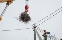 Гнездо снимается, а после возвращается на место
